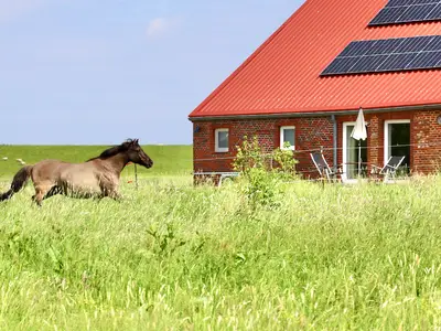 Ferienwohnung für 2 Personen (55 m²) in Neuharlingersiel 3/10