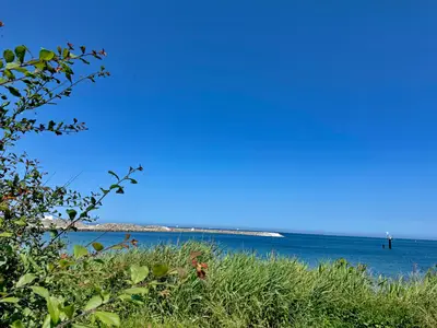 Ferienwohnung für 4 Personen (70 m²) in Fehmarn 3/10