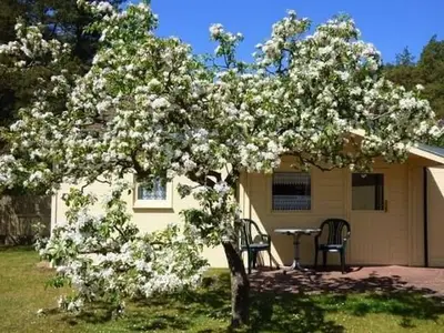 Ferienwohnung für 2 Personen (21 m²) in Loddin (Seebad) 3/7