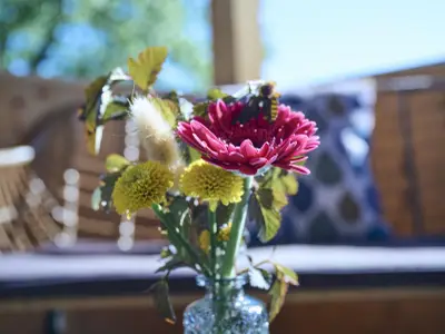 Fichtelgruen_GIP3071_1600px