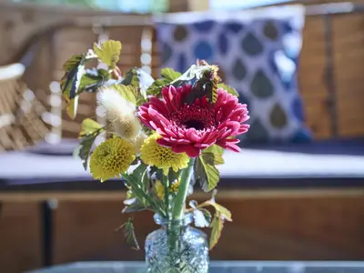 Fichtelgruen_GIP3072_1600px