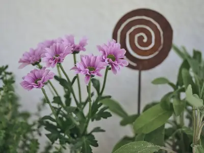 Fichtelgruen_GIP3597_1600px