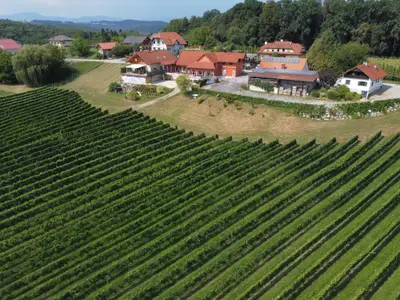 dji_fly_20250816_140902_675_1755346158571_photo_op