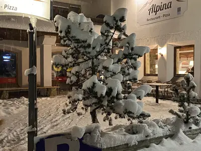 Restaurant „Alpina“