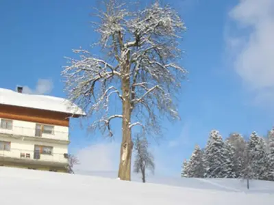 Ferienwohnung für 8 Personen (125 m²) in Doren 6/10