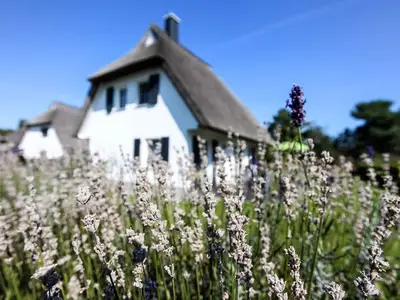 Ferienwohnung für 4 Personen (90 m²) in Fuhlendorf (Nordvorpommern) 4/10