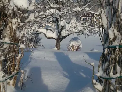 Ferienwohnung für 7 Personen (120 m²) in Doren 5/10