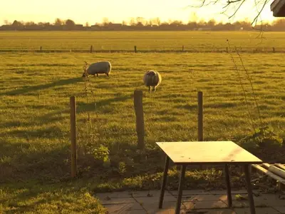 Ferienwohnung für 3 Personen (50 m²) in Friedrichskoog 2/10