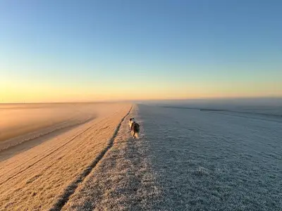 Ferienwohnung für 3 Personen (50 m²) in Friedrichskoog 3/10