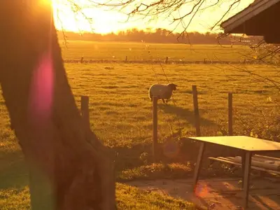 Ferienwohnung für 7 Personen (130 m²) in Friedrichskoog 8/10