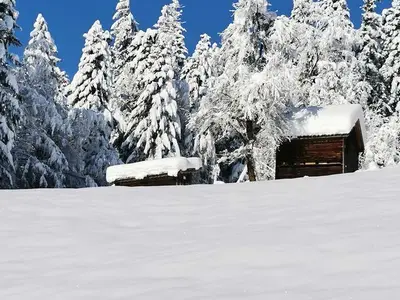 Ferienwohnung für 8 Personen (125 m²) in Doren 3/10