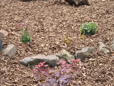 Ferienwohnung für 3 Personen (52 m²) in Bous 8/10