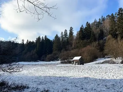 Ferienwohnung für 4 Personen (42 m²) in Stadt Pottenstein 3/10
