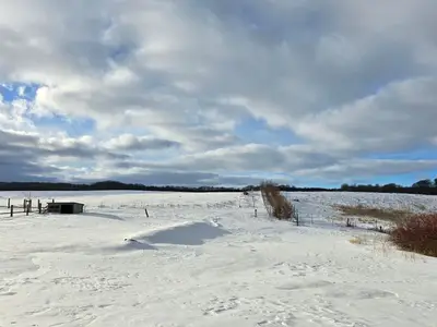 Ferienwohnung für 5 Personen (58 m²) in Lohme (Rügen) 4/10