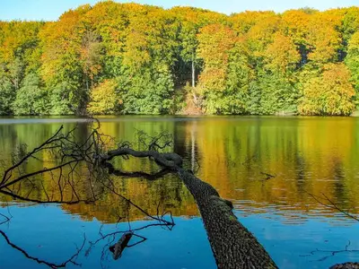 Ferienwohnung für 5 Personen (58 m²) in Lohme (Rügen) 6/10