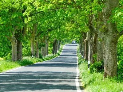 Ferienwohnung für 5 Personen (58 m²) in Lohme (Rügen) 8/10