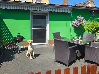 Ferienwohnung für 3 Personen (35 m²) in Lübben 8/10