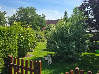 Ferienwohnung für 3 Personen (35 m²) in Lübben 9/10