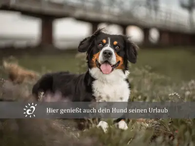 Ferienwohnung für 4 Personen (68 m²) in Dorum Neufeld 10/10