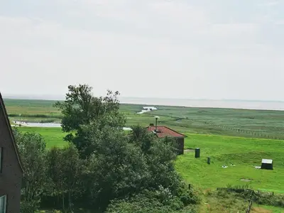 Ferienwohnung für 3 Personen (45 m²) in Baltrum 6/9