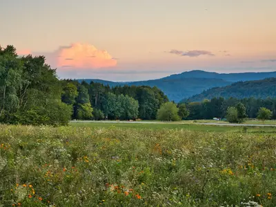 Am Limespfad-Hesselbach im Sommer