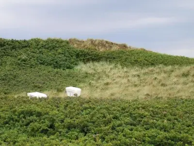 Ferienwohnung für 3 Personen (62 m²) in Kampen 8/10