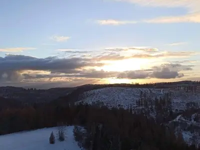 Ferienwohnung für 4 Personen (50 m²) in Braunlage 1/10