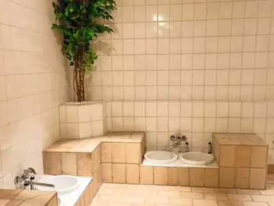 Ferienwohnung für 4 Personen (50 m²) in Braunlage 4/10