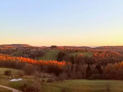 Ferienwohnung für 4 Personen (50 m²) in Braunlage 5/10