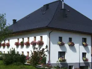 Ferienwohnung für 4 Personen (50 m²) in Steinbach am Attersee