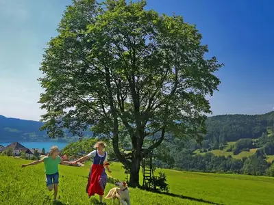 Ferienwohnung für 4 Personen (50 m²) in Steinbach am Attersee 3/10