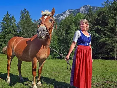 Ferienwohnung für 4 Personen (50 m²) in Steinbach am Attersee 5/10