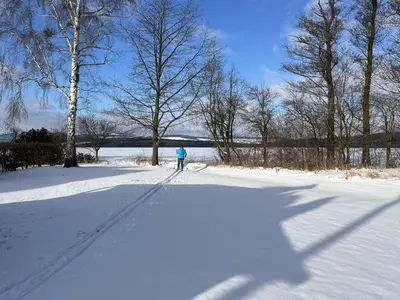 Ferienwohnung für 6 Personen (90 m²) in Lohmen 4/10