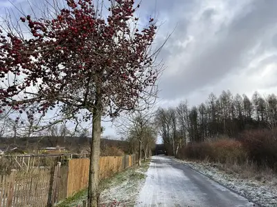 Ferienwohnung für 6 Personen (90 m²) in Lohmen 10/10