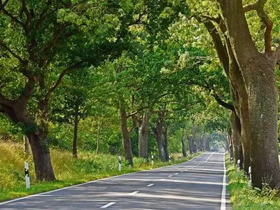 Ferienwohnung für 2 Personen (50 m²) in Mönchgut Auf Rügen 6/10