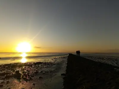 Ferienwohnung für 4 Personen (45 m²) in Jade 9/10