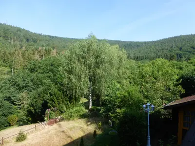 Tannenhof-Ausblick 1