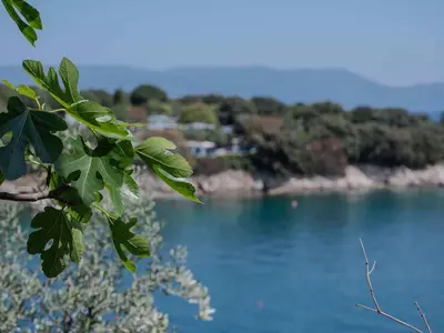 Ferienwohnung für 4 Personen (65 m²) in Duga Luka (Prtlog) 5/10