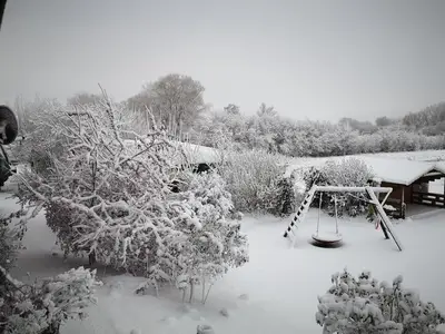 Ferienwohnung für 4 Personen (85 m²) in Wischhafen 4/10
