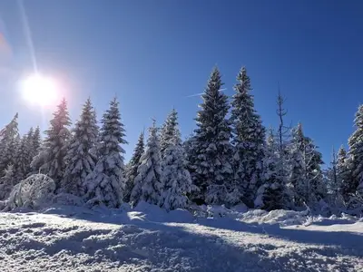 Ferienwohnung für 2 Personen (45 m²) in Braunlage 7/10