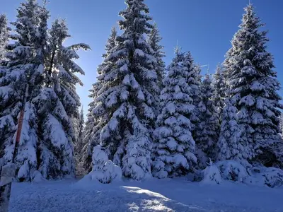 Ferienwohnung für 2 Personen (45 m²) in Braunlage 10/10