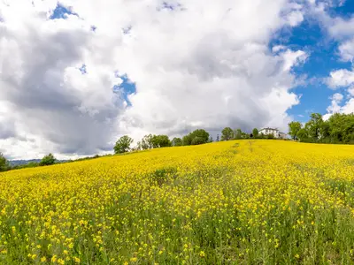 Ferienwohnung für 4 Personen (30 m²) in Florenz 10/10