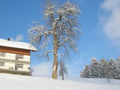 Ferienwohnung für 8 Personen (125 m²) in Doren 6/9