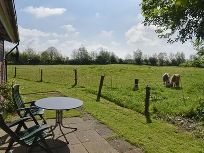 Ferienwohnung für 4 Personen (80 m²) in Holtgast 3/8