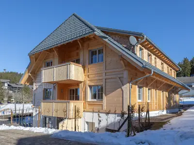 Ferienwohnung für 6 Personen (62 m²) in Schluchsee 2/10