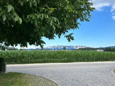 Ferienwohnung für 1 Person (55 m²) in Sankt Georgen im Attergau 5/10