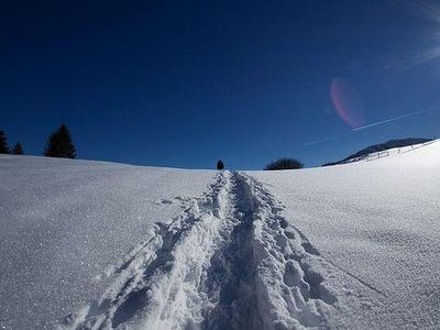 Bild_Schneeschuhtour_scale_800_700