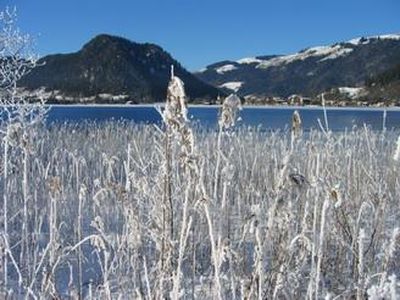 Winter am See