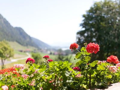 Blick zum Walchsee