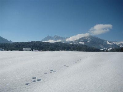 Wilder Kaiser und Loipe vor dem Haus